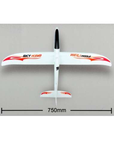 Avion Skyking F959 RTR WlToys