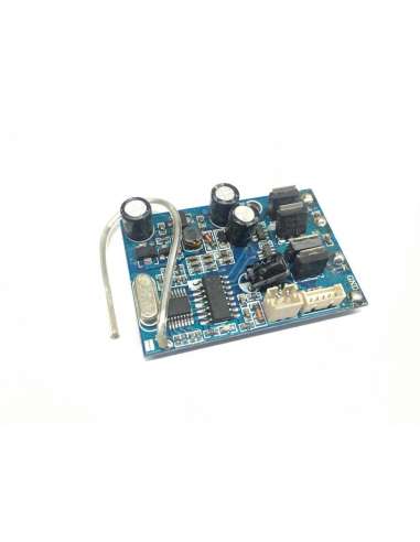 Placa Electronica Lancha Wl911 Wl Toy