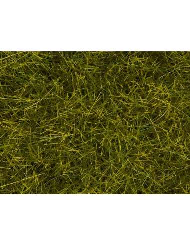HIerbas Silvestres XL Pradera 12 mm Noch