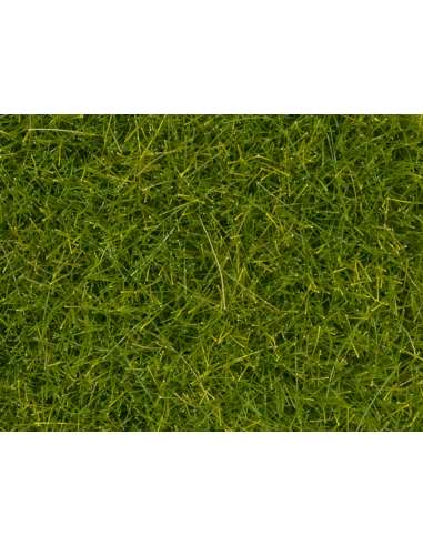 HIerbas Silvestres XL Verde Claro 12 Mm.