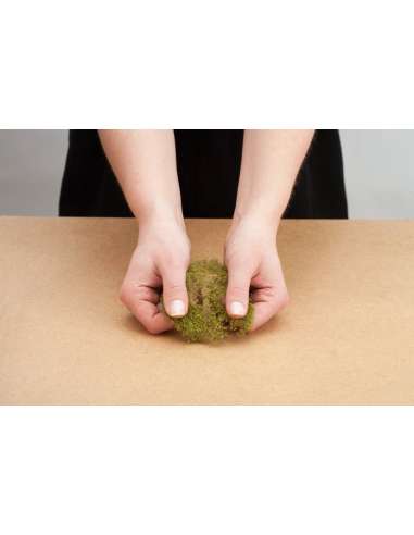 HIerbas Primaverales 2.5 mm. Noch 08300