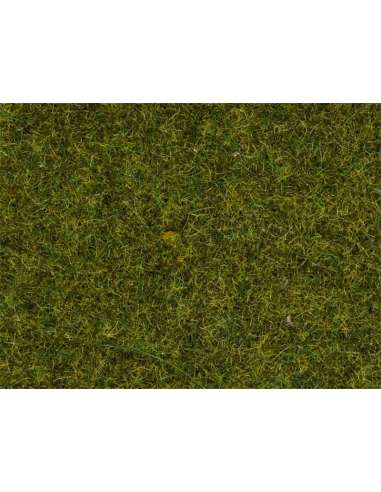 Hierbas de Pradera 2.5 mm Noch 08312