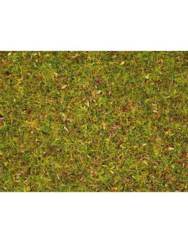 Pradera de Flores 2.5 mm. Noch 08330