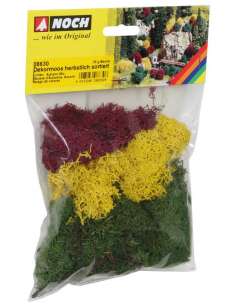 Musgo Verde 35 Gramos Noch...