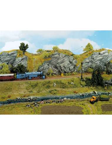 PARED DE ROCA PIEDRA CALIZA NOCH 58490