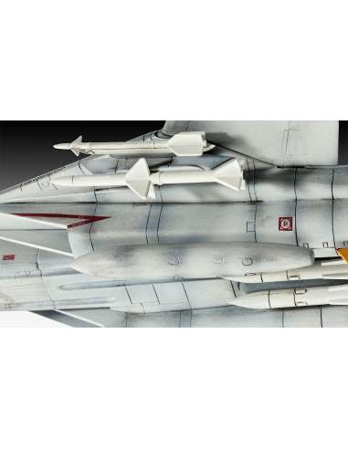 Maqueta 1/100 F-14D Super Tomcat