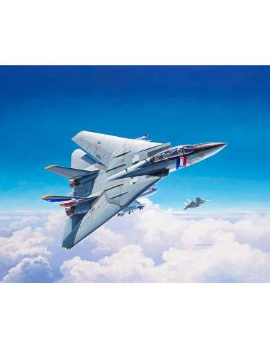 Maqueta 1/100 F-14D Super Tomcat