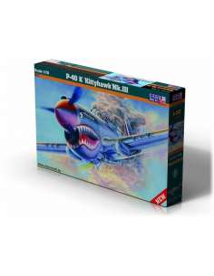 Maqueta Avion P-40 K...