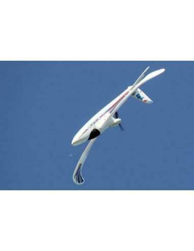 Avion Easy Star 3 RR Servos/Electronica