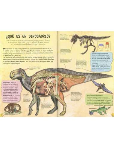 Libro La Era De Los Dinosaurios