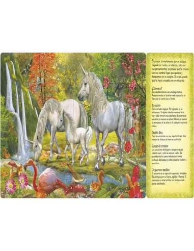 Libro Fantastico Mundo De los Unicornios