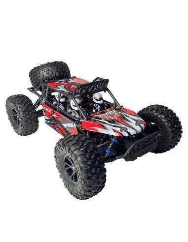 Buggy RadioControl Desert Agama Brushed