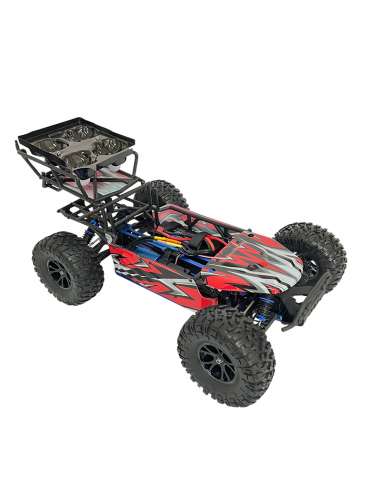Buggy RadioControl Desert Agama Brushed
