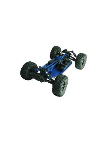 Buggy RadioControl Desert Agama Brushed