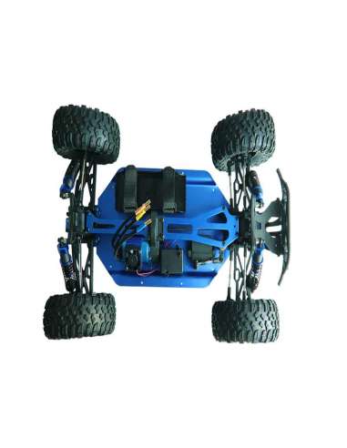 Buggy RadioControl Desert Agama Brushed