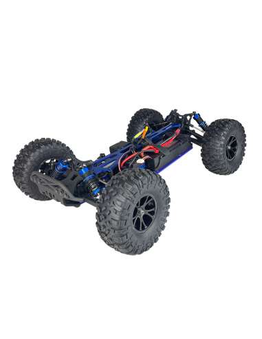 Buggy RadioControl Desert Agama Brushed