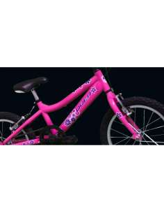 Bicicleta quer Rueda 500...