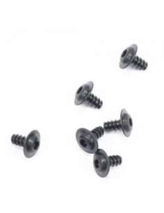 Tornillos M3x6 RH1016 2