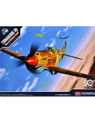 Maqueta Avion Tomahawk IIB ACE1/48