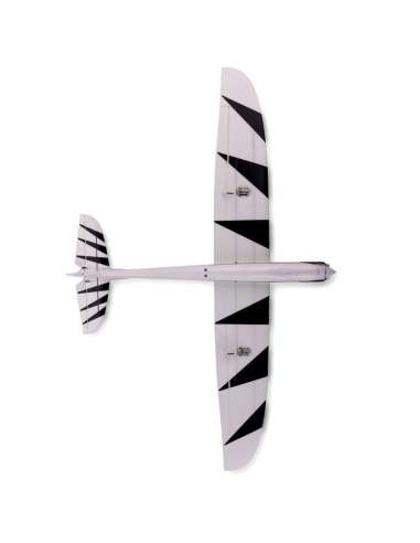 Avion Velero E-FLITE UMX Conscendo BNF