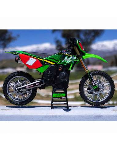 Moto RC Promoto Losi Mx Escala 1/4 COMBO