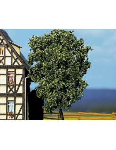 Arbol Peral Verde Noch...