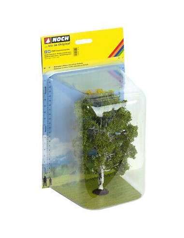 Abedul de Doble Tronco 19 Cms.