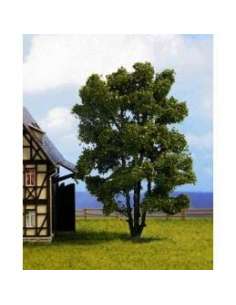 Arbol Acacia Noch 21660 2