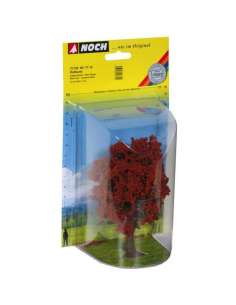 Arbol Haya Roja Noch 21730 2