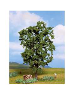 Arbol Castaño Noch 21800 2