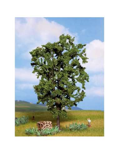 Arbol Castaño Noch 21800