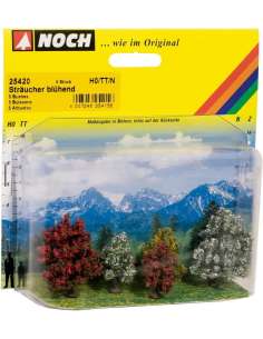 Arbustos Florescientes 5...