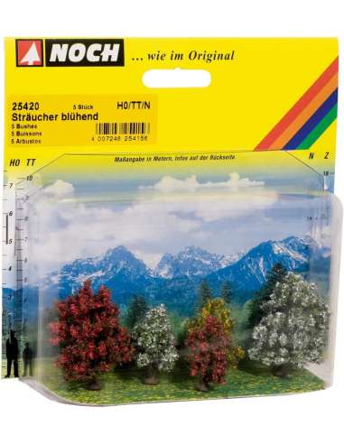 Arbustos Florescientes 5 Und 3-4 Cm Noch