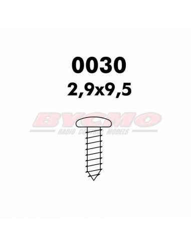 TORNILLO PARKER 2,9X9,5D7981 (12U)