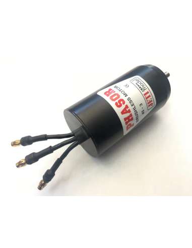 Motor Brushless 45/3 Phasor