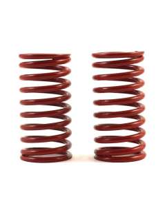 Muelles Amortiguadores GTR... 2