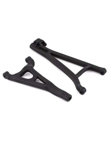 Trapecios Delanteros Derecha Sup. e Inf.