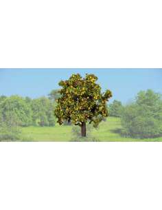 Arbol Manzano Con Frutas...