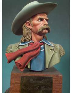 LT.COL.GEORGE A. CUSTER (1873) 2