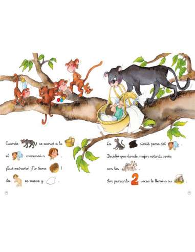 Libro El Libro de La Selva Pictogramas