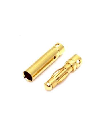 Conector Oro 2.5mm Pareja