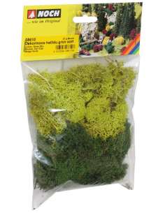 Musgo Verde 35 Gramos Noch...