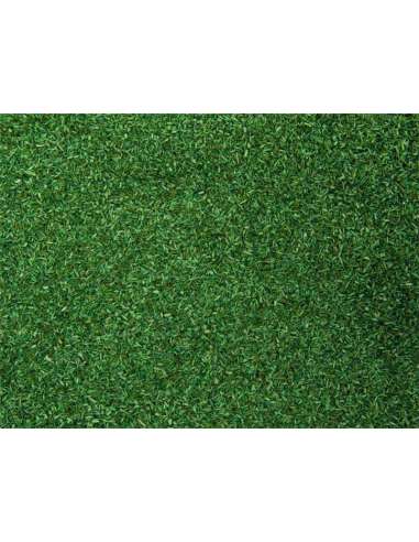 HIerba Lindero Verde Medio Noch 08420