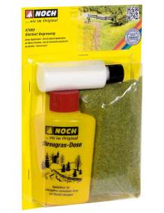 Set Inicio Creacion...