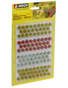 Manojos de Hierbas Floridos...