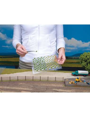 Manojos de Hierbas Floridos Noch 6 mm