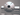 0000010796_01