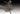 0000091418_02