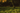 0000093550_05
