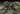 0000095965_04